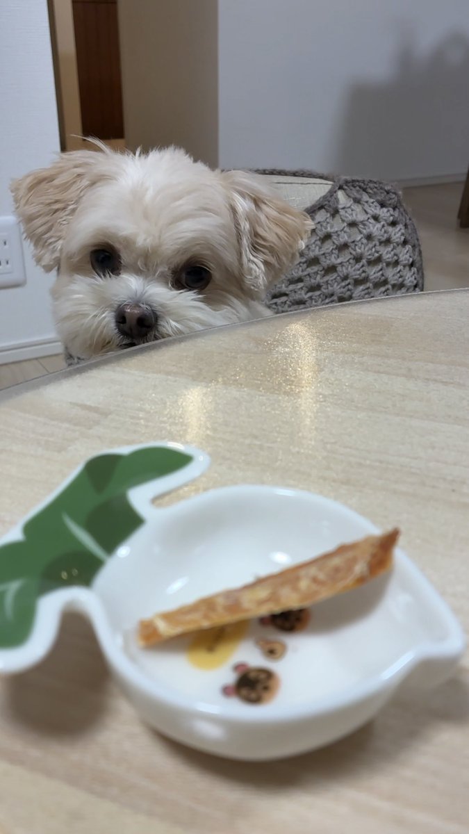 MONKEYWOOOOO's tweet photo. 🐶｛ とどく(確信) https://t.co/orHOdYBZwY