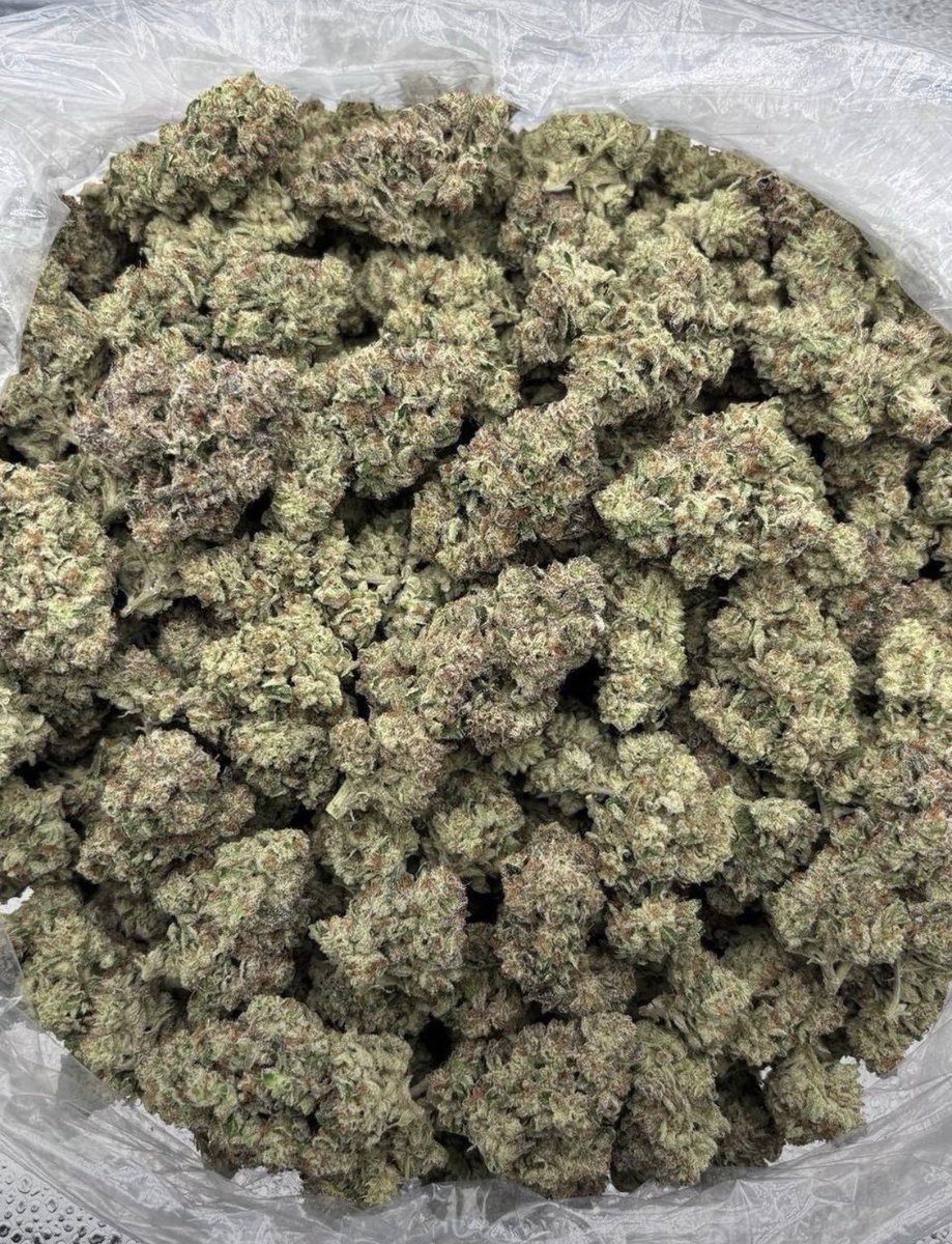 _Exoss_'s tweet photo. Serving Now 🔥
Weed London weed Paris Weed Berlin weed Madrid Weed Rome weed Amsterdam Weed Vienna weed Prague Weed Budapest weed Warsaw Weed Lisbon weed Brussels Weed Stockholm weed Copenhagen Weed Helsinki https://t.co/jw7Pee1Al4