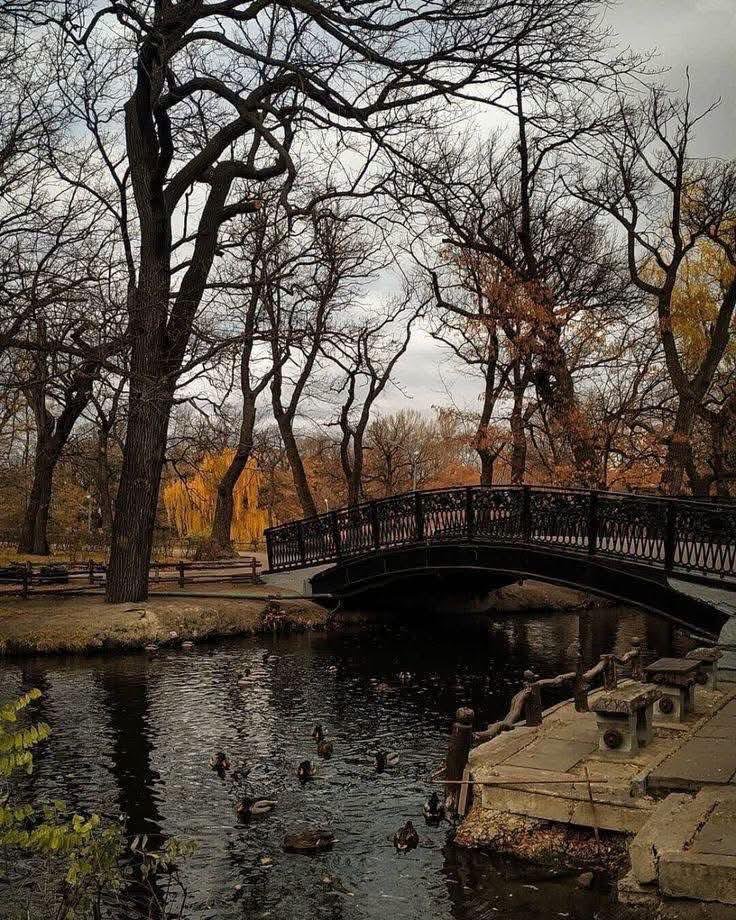 earthserenityy's tweet photo. Fall in New York https://t.co/LMjULmYtZh