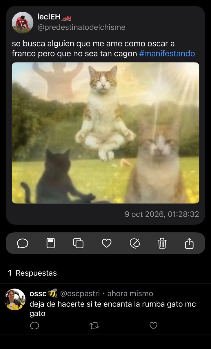 ccelestrii's tweet photo. 025. https://t.co/J0j52avpWQ