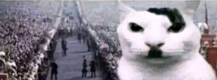 C50357937Calle's tweet photo. @MundoEConflicto Se viene el  Primer Reich peruano https://t.co/Fx2g3nygxv