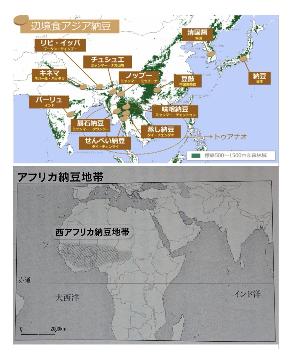 Kotouta_Sige1's tweet photo. なお、実は"現代"日本は世界基準で納豆後進国である
我々はパック納豆に付属タレをぶっかけ、せいぜいご飯に載せる程度しか一般的な食べ方を持たないが、世界の納豆地帯の納豆は生食だけでなく、煮る・炒める・粉末ダシ・保存食等 さながら味噌のように様々な姿と味わいで豊かな食文化を支えている→ https://t.co/chR8aZ5vSx