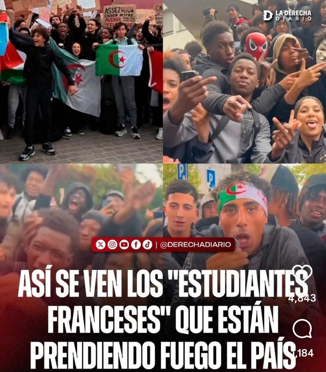 mlnomntel's tweet photo. @natgoldub84 Es todo mentira amiga.
Hacete periodista y salí de tu burbuja.
La ignorancia se supera investigando.
Es todo un movimiento anti nacional financiado por los polítcos de turno para invadir y llenar de inmigrantes.
Mirá la cara de los "supuestos estudiantes"👇 https://t.co/KMCqQHOMKa