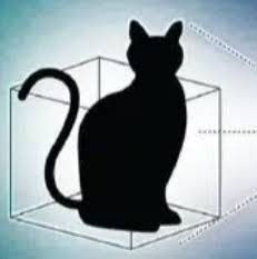 wifzyns's tweet photo. How have we not ran the most obvious narrative in a quantum meta ???

Schrodingers Cat https://t.co/VPWFGxr96o