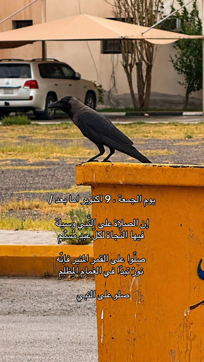 v515si's tweet photo. صلو علئ النبي https://t.co/Hapiz1kJlQ