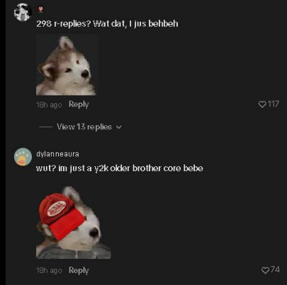 rixshuu's tweet photo. Enough quantum & pair slop Normies have a new viral gif on TikTok.

I'm seeing people saying bebeh all over my tiktok comment sections.

Its a super cute dog and people are posting it saying I just beheh etc.

Just look through all the comments

this could be one of the best pfp cults in a while.

The word itself is also viral send it

- https://t.co/8DNyQI24Xm

- https://t.co/9EA504MZIA