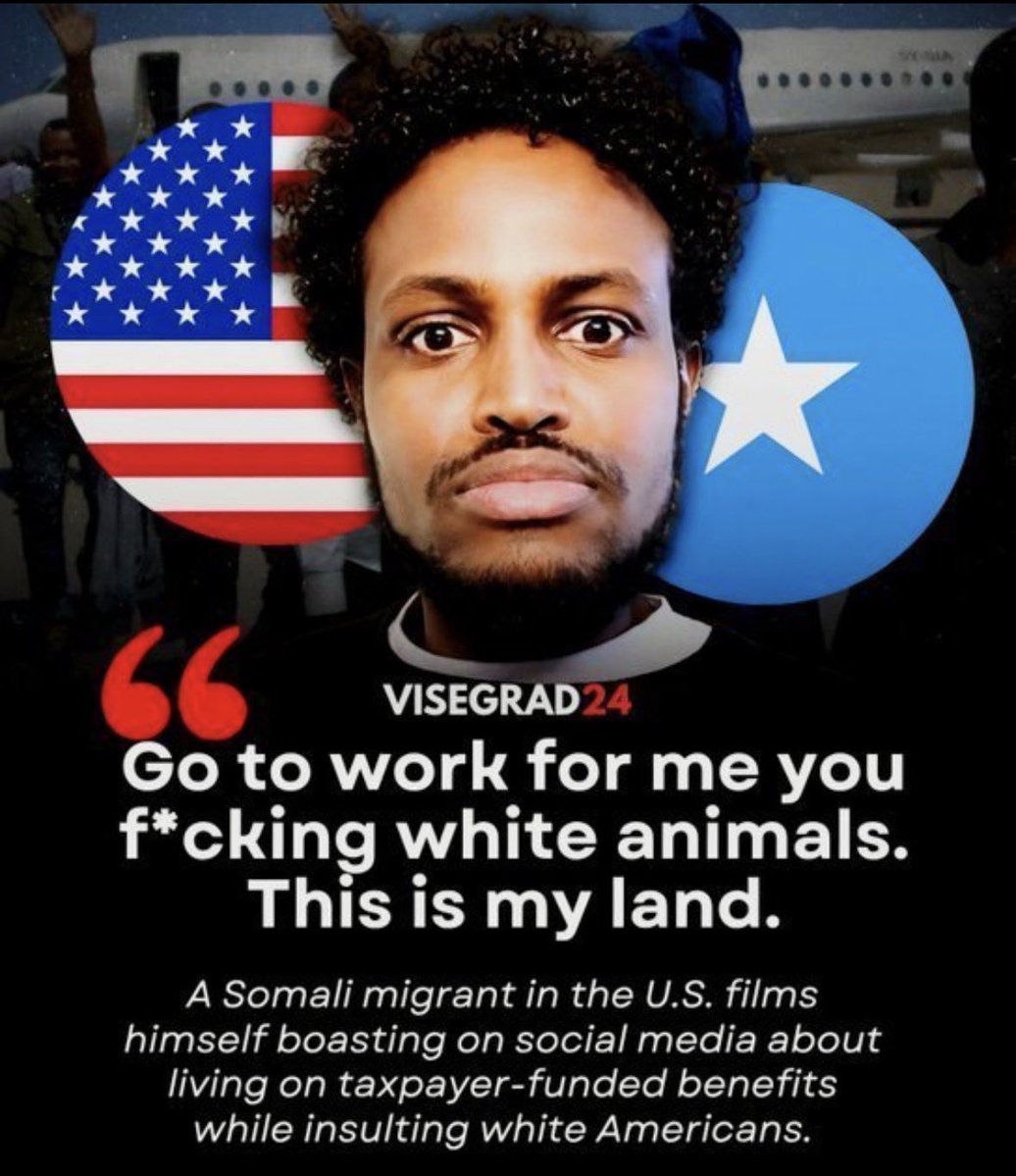 MagaGrunt1's tweet photo. 🇺🇸Are we serious….don’t wander from those sanctuary cities boy…Merca is a little different.🇺🇸 https://t.co/xVn28Z4dX5