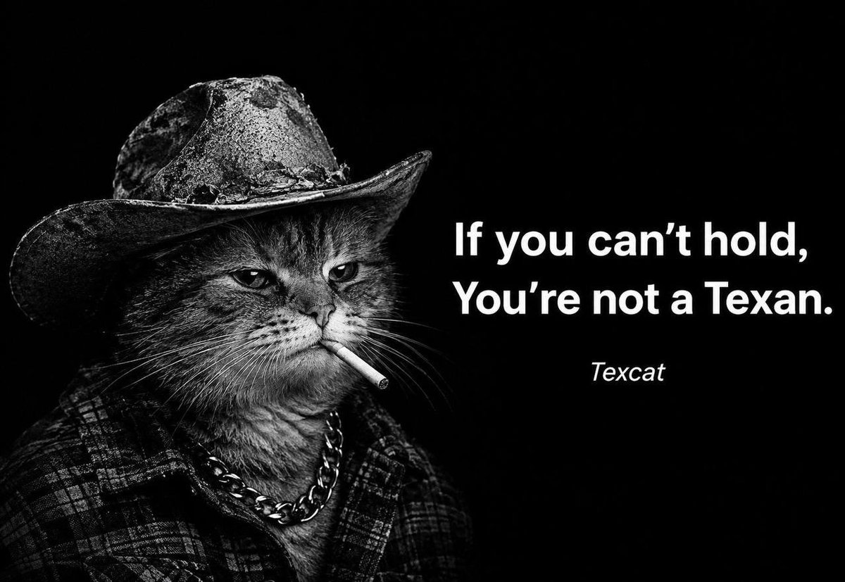 texcat_token's tweet photo. $texcat https://t.co/Ct6BMvqoZ4