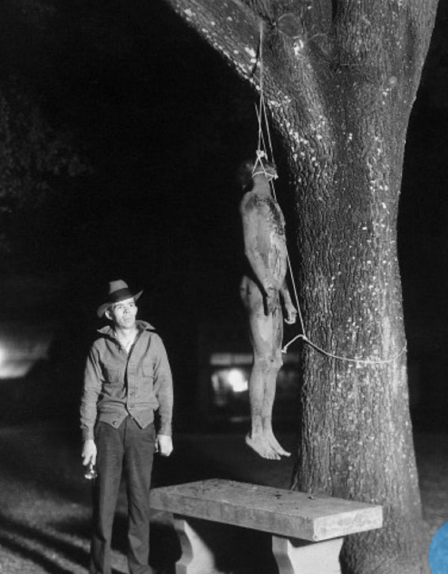 Michael45513971's tweet photo. @S_Ali0011 Send the pussy ass majeerteen pussy clan home to mogoniggerdoshu fuck the da rod family bunch of ugly monkeys that belong in the zoo get out of US before we run you out. Fuck all clans of Somali pube ridden lightbulb head reateded subhumans. Leave before we enslave you again. https://t.co/yqqlEnetHj