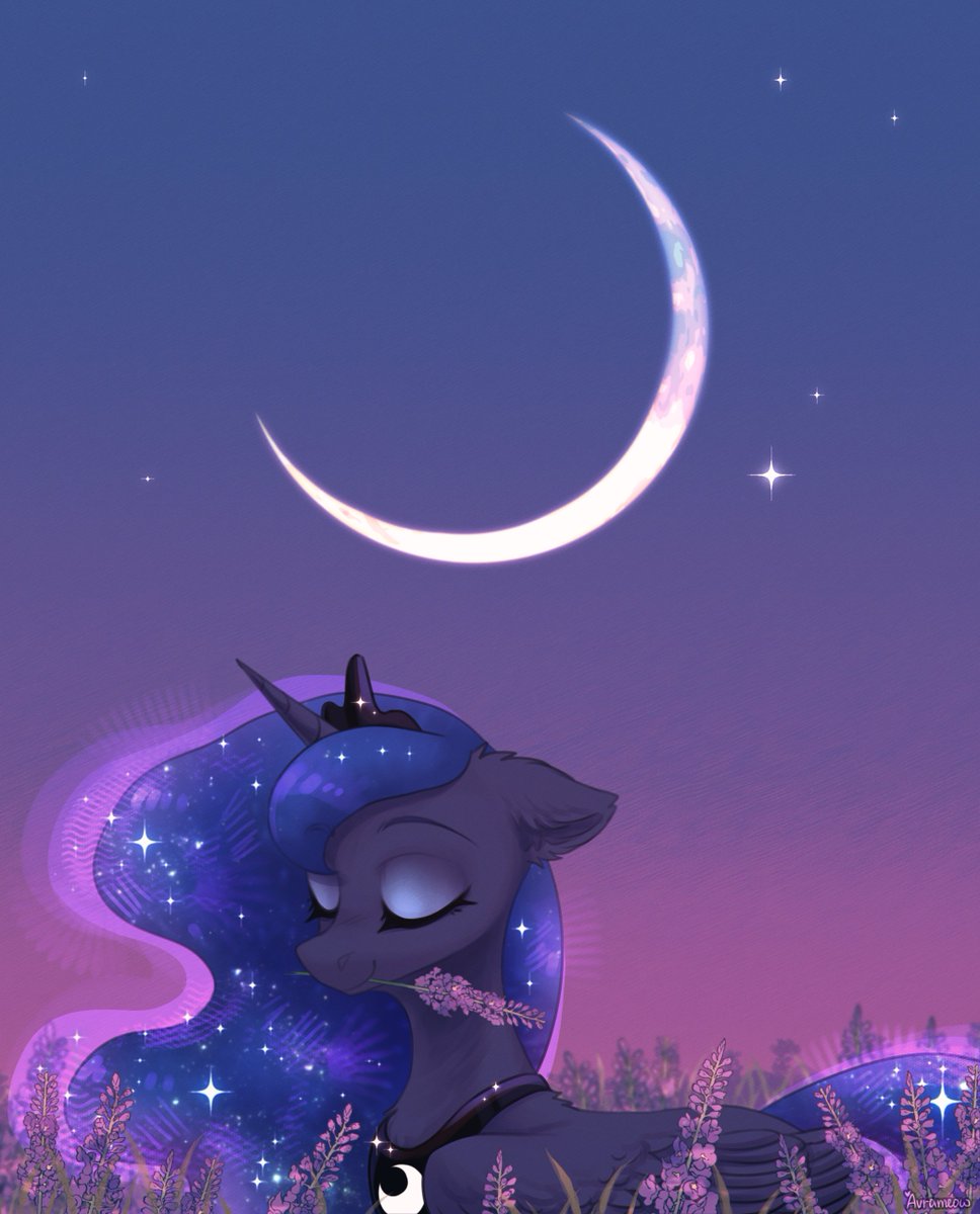 avrameow's tweet photo. lavender https://t.co/HqY3MnC0fX