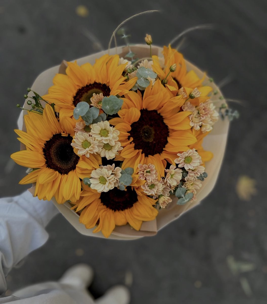 sunflowerchives's tweet photo. Currently blooming. https://t.co/nxlFDb6QvF