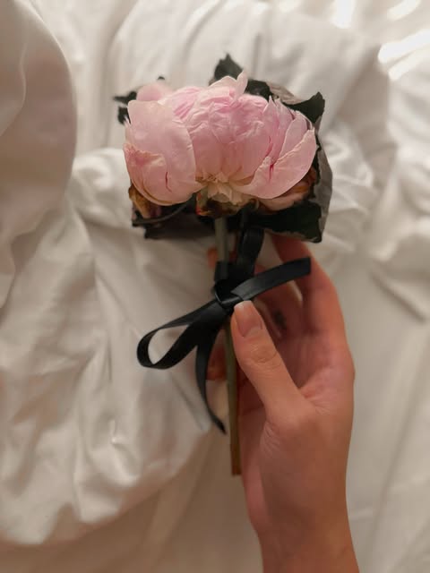 Smart2898's tweet photo. Collecting moments, not things 🕯️ https://t.co/ispB5ulmrU