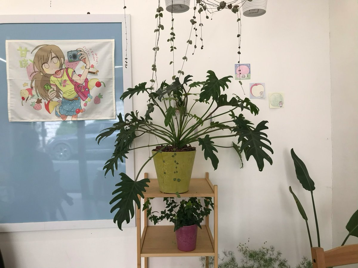 eefukuoka's tweet photo. 소제동에서 한적한 하루 보내기 🚶 https://t.co/3VgRk0HORX