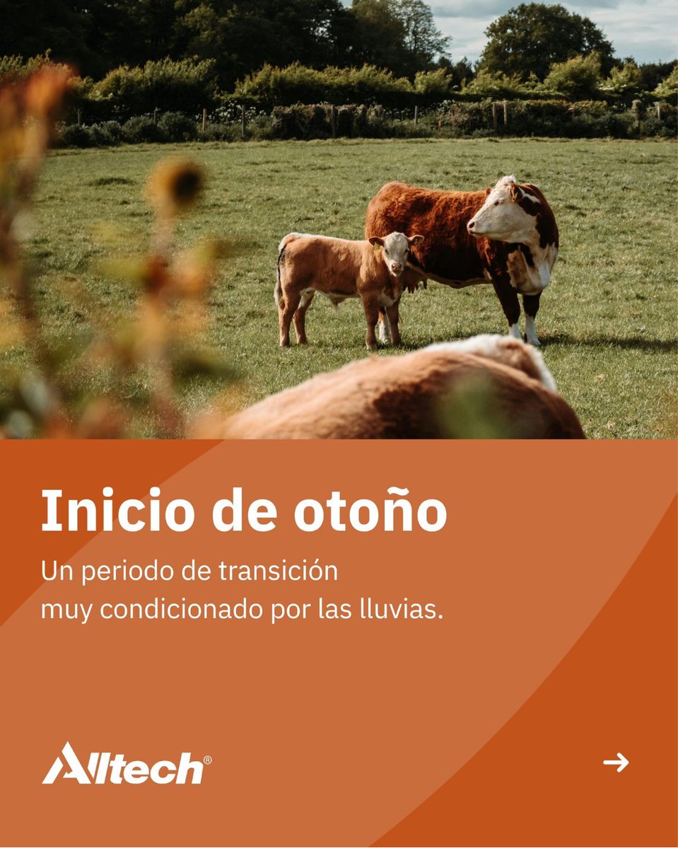 AlltechSpain's tweet photo. El Dairy Excellence Forum reunió a profesionales del vacuno de leche para compartir conocimiento, experiencias y nuevas ideas para seguir avanzando juntos.
🎥 Así se vivieron algunos de sus momentos.
#Alltech #DairyExcellenceForum #VacunoDeLeche #NutriciónAnimal https://t.co/dpio9Wzf9l