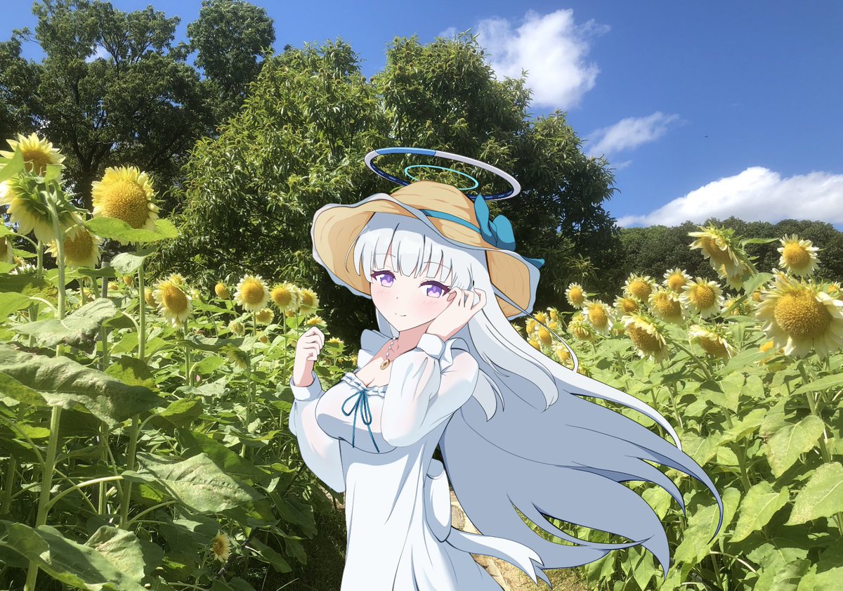 flask_kinoko's tweet photo. 🌻 https://t.co/qRaFJzgqki