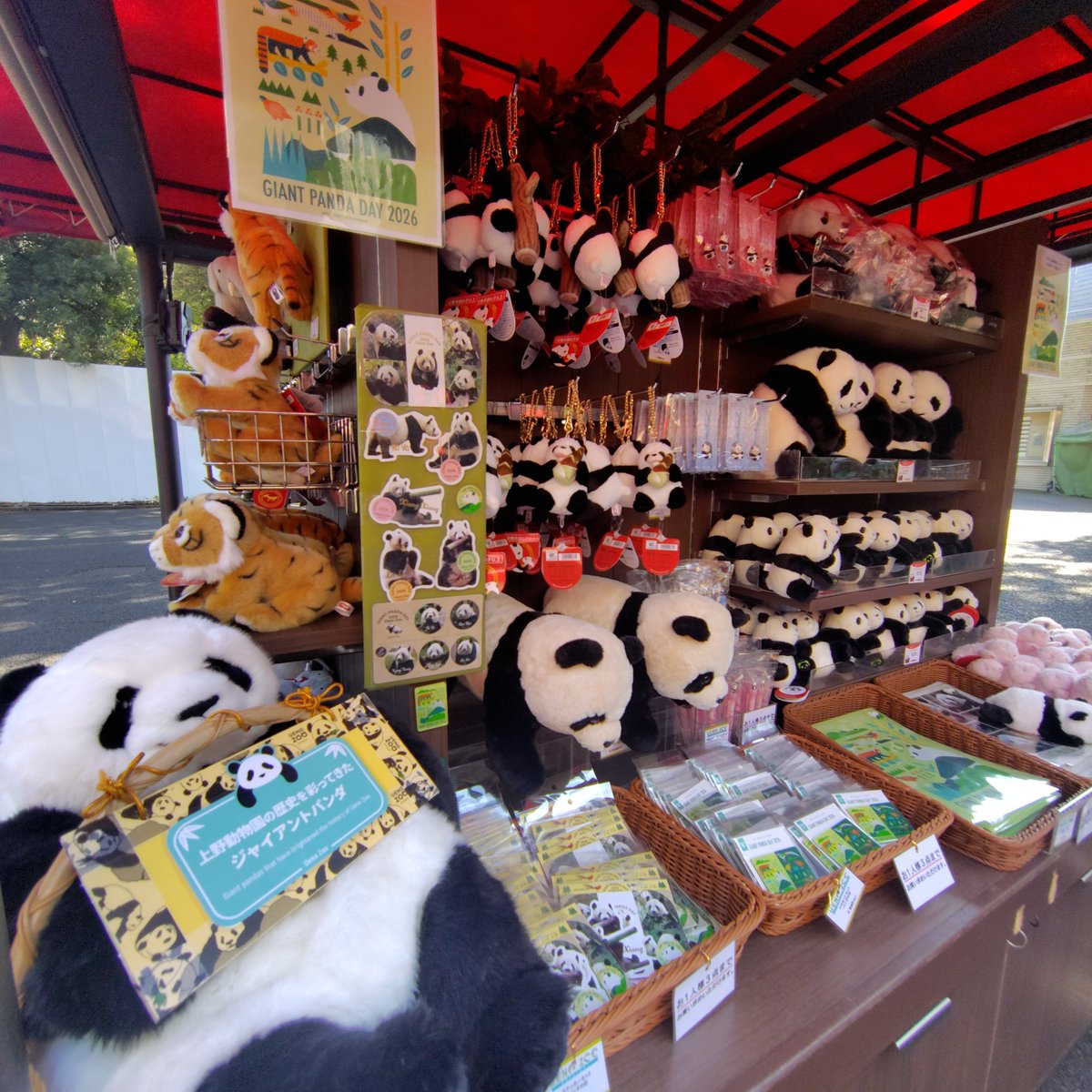 yuncaasu's tweet photo. #GIANTPANDADAY2026　🐼
グッズ買いに��しぶりに　#上野動物園 https://t.co/qGXYzgO7c6