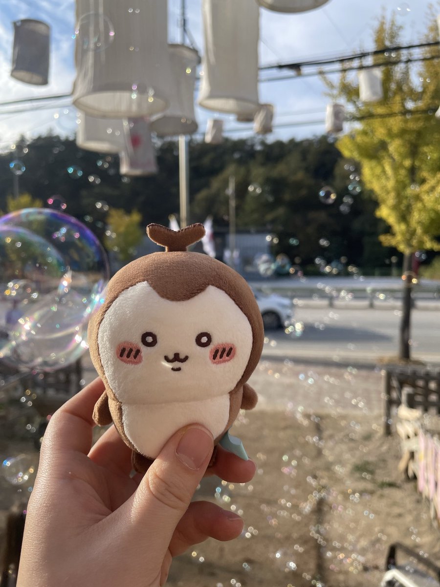 dbtlsk0117's tweet photo. 귀여워어ㅓㅓㅓ ㅠ https://t.co/7DSNPYuFR0
