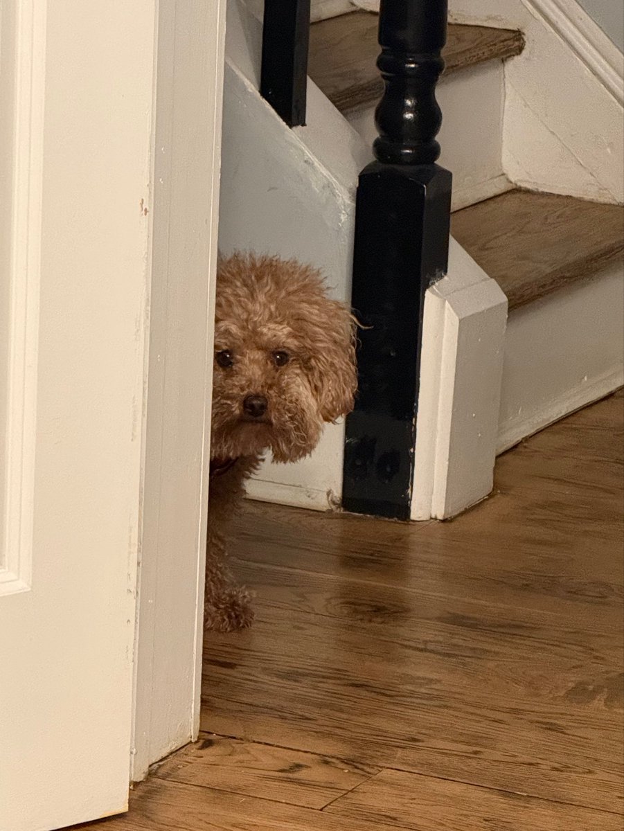 NataliaZarina's tweet photo. Leo has beef with the @every agent after these unfounded accusations

The real question is: does the agent have beef for Leo? https://t.co/W6OjPb1ISw