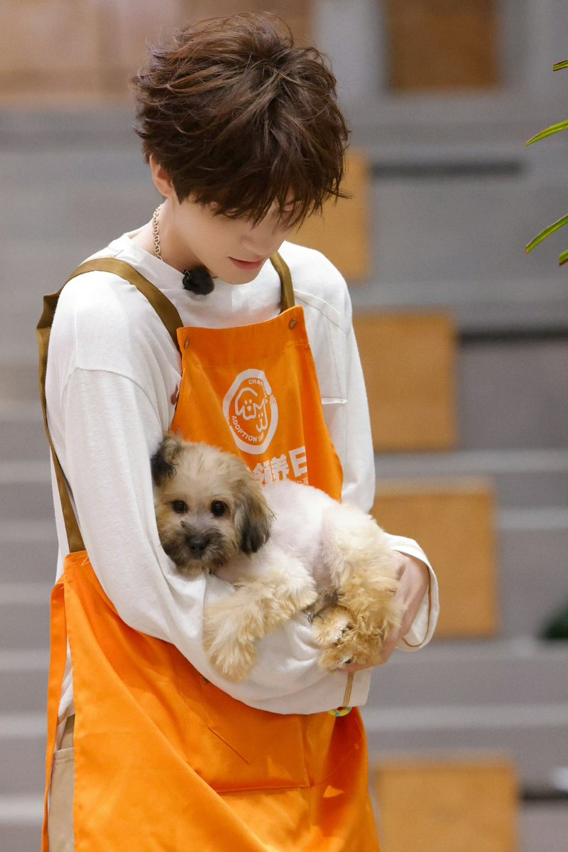 zyiranindofans's tweet photo. 091026 Zhou Yiran Studio Weibo Update

Di antara hal-hal kecil yang sederhana, menemukan kehangatan ditemani makhluk berbulu yang menggemaskan. 🐾
Bos yang merangkap jadi pengasuh anabul hadir nih! 🤲🏻

#ZhouYiran #周翊然 #UpAllFridayNight https://t.co/47YT2Fcz2k