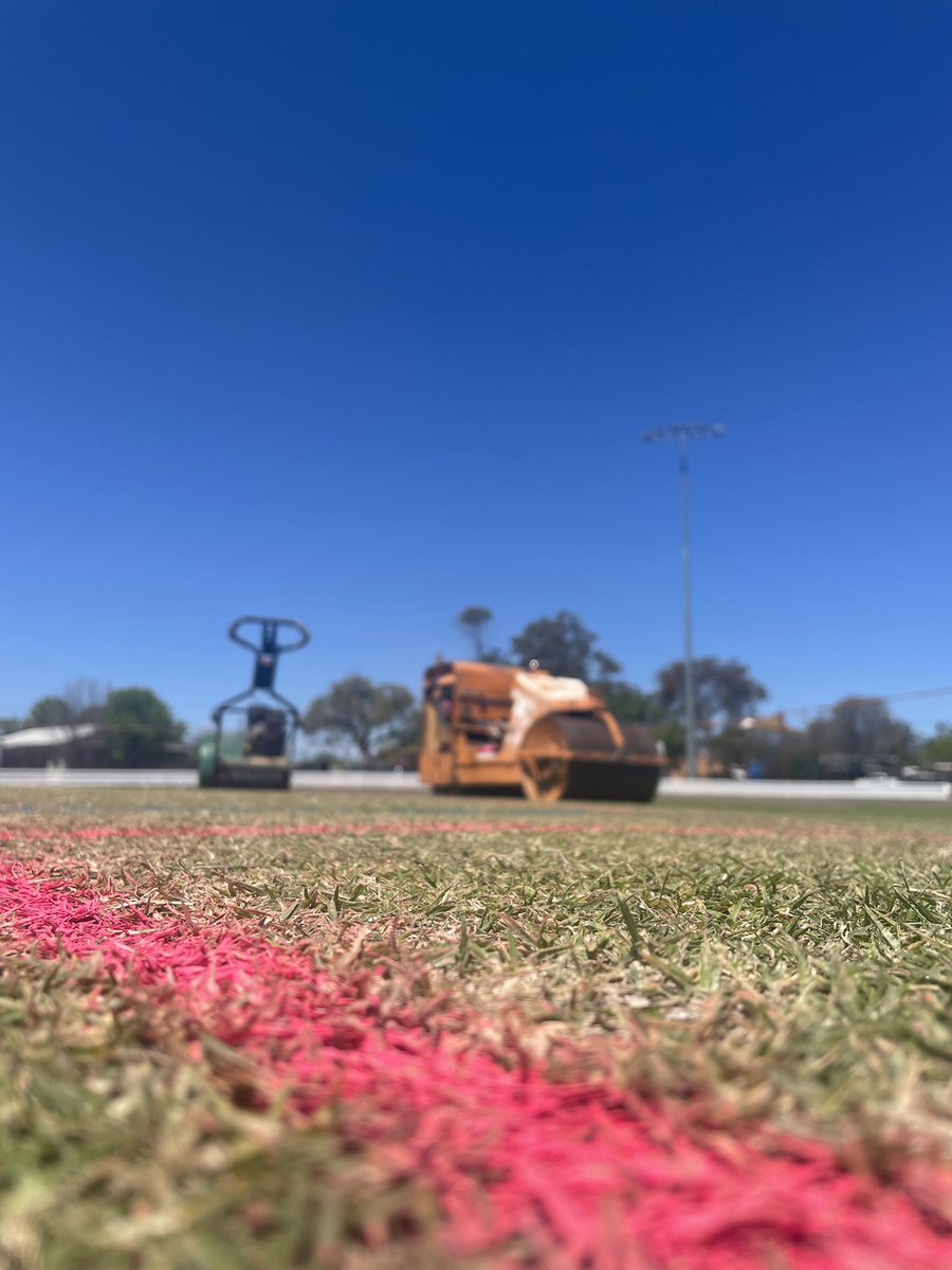 CricketLibrary's tweet photo. All systems go for @McGrathFdn Pink up Mudgee cricket game tomorrow. #pinkupmudgee https://t.co/QTkBJyHWmB