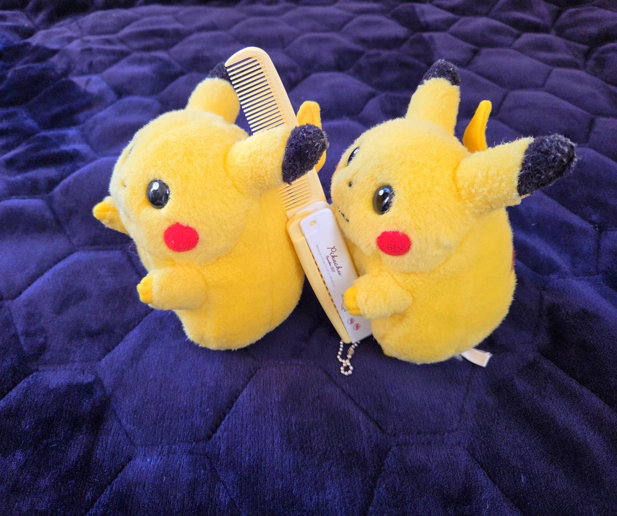 pikachu_odekake's tweet photo. ブラッシングしてあげてるのね https://t.co/qse9Z6tHl1