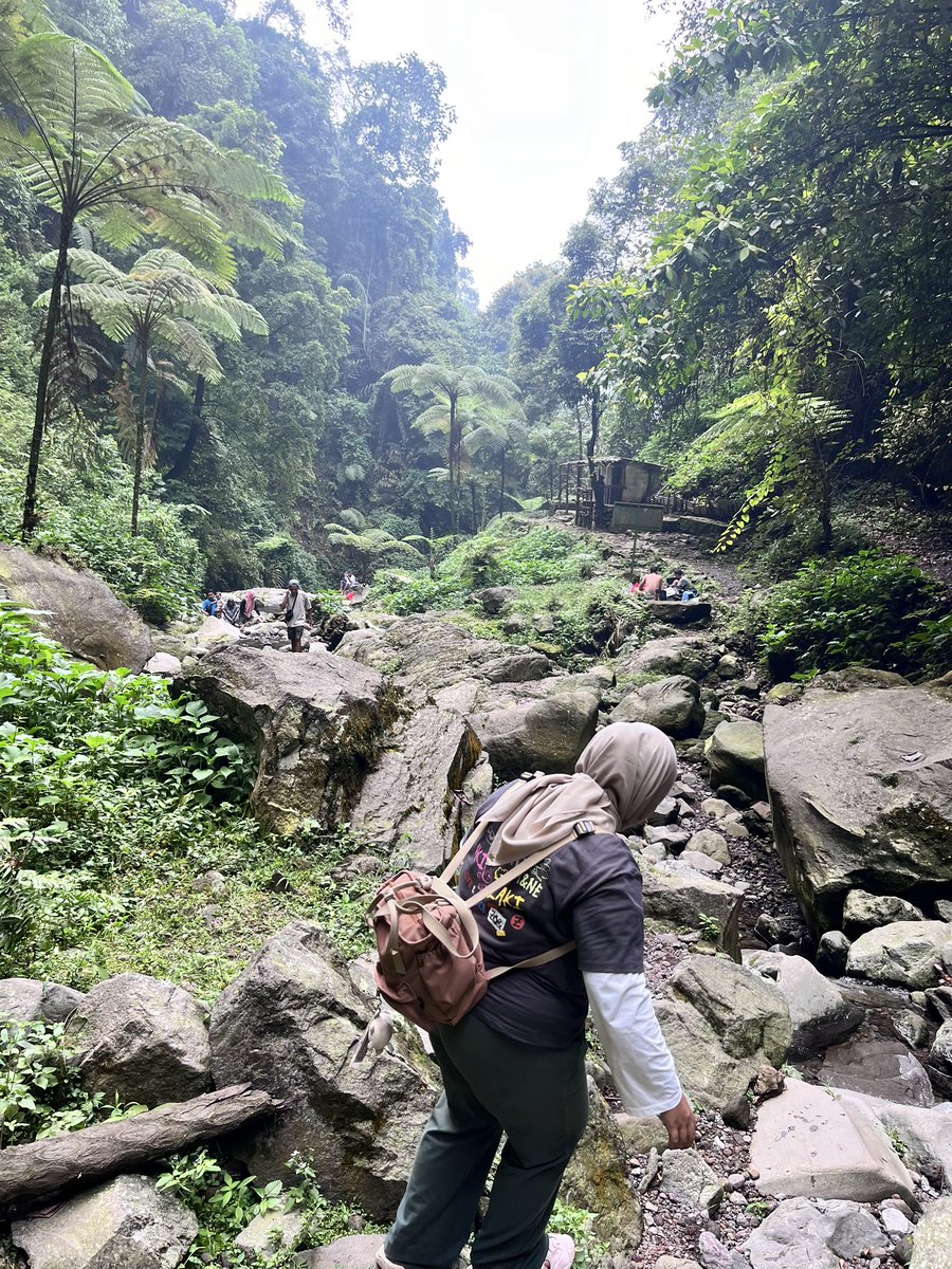 binijidi's tweet photo. Curug nangka💚 https://t.co/Bst9yvkfeP