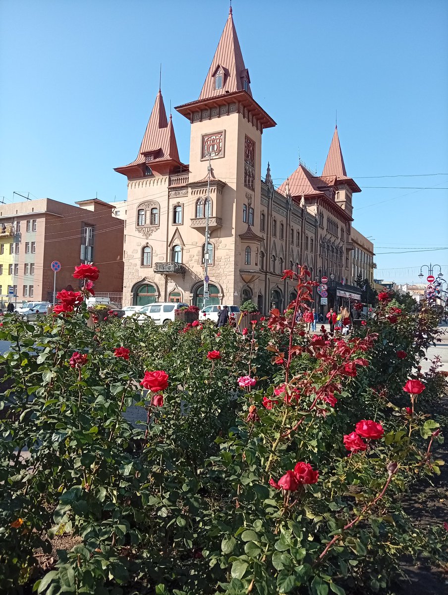 OlqavonVolga's tweet photo. Осенние розы Саратова вам в ленту.
Доброе утро и хорошего дня, дорогие друзья! https://t.co/sOBCyuLLLH