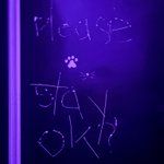 Photo by kira燦🐾 (@katmojis)