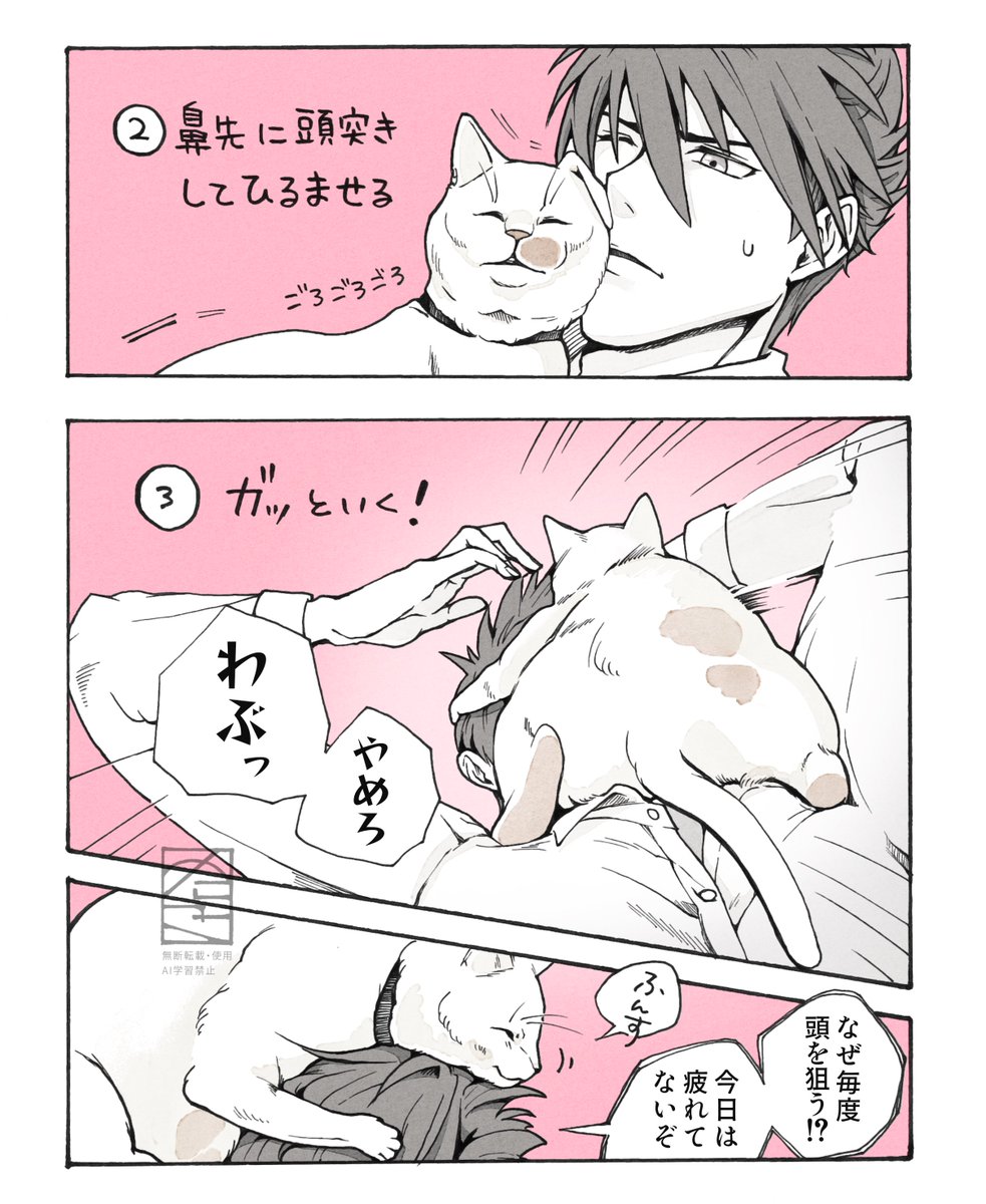 norako_10ken's tweet photo. ねこから積極的に吸わせるスタイル https://t.co/tQt7Lwhsmn