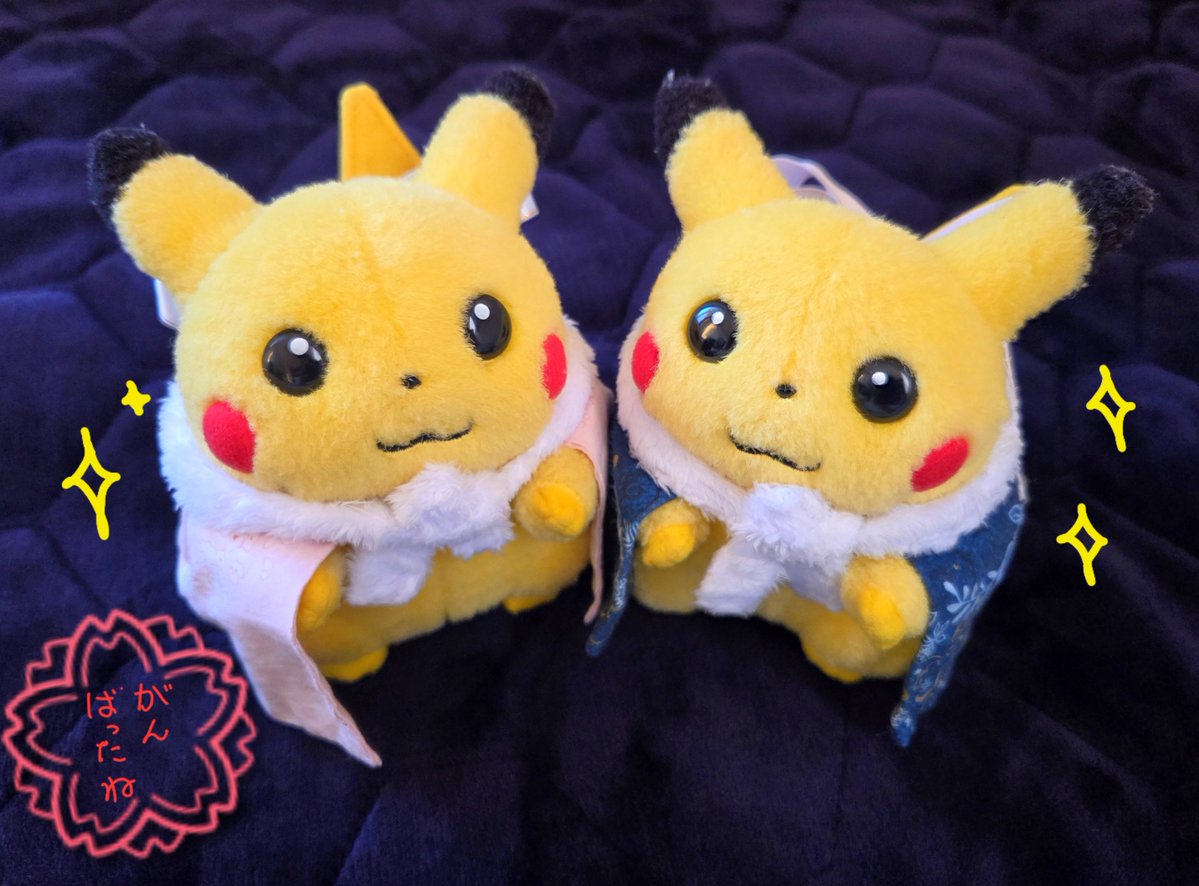 pikachu_odekake's tweet photo. たいへんよくできました https://t.co/miI2xcHKvt
