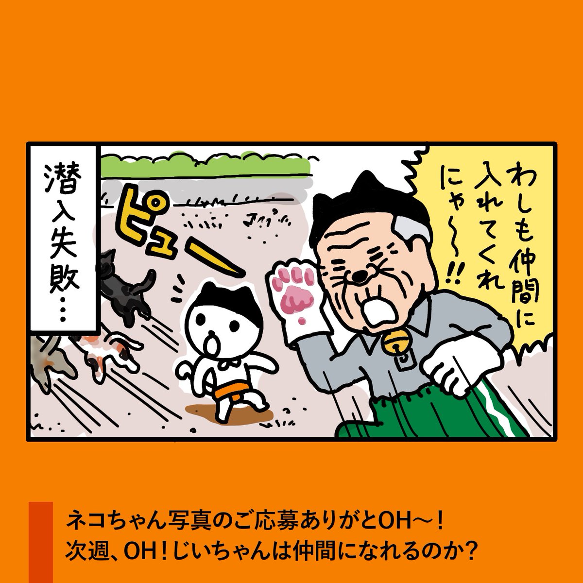 OHkun_staff's tweet photo. ／
　金曜19時は、OH！くん漫画
＼

第15話「ネコの集会（１）」

みなさんから募集した
「我が家のネコちゃん写真」が、
漫画になりました。
OH！くんとの共演、いかがでしょOH？

#OHくん漫画　#4コマ https://t.co/z8cA3DzqW4