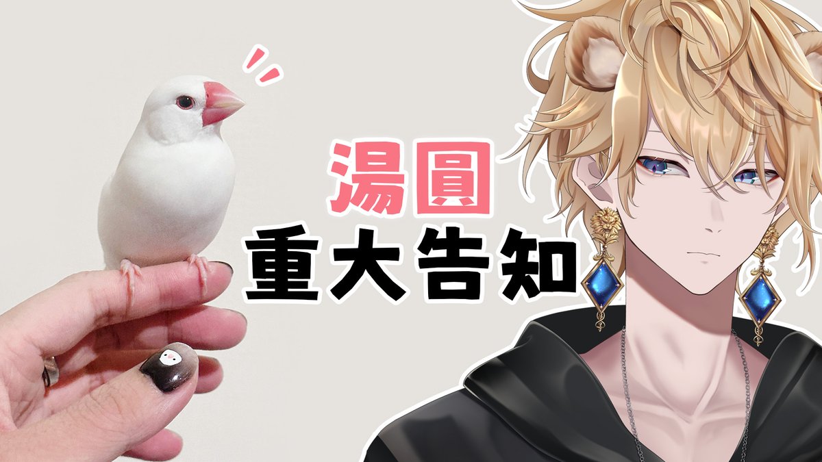 Shippo727's tweet photo. 【Shippo露手】視訊！湯圓重大告知．．．
晚上九點
https://t.co/cx00rbct47 https://t.co/ctTPLCzLKh