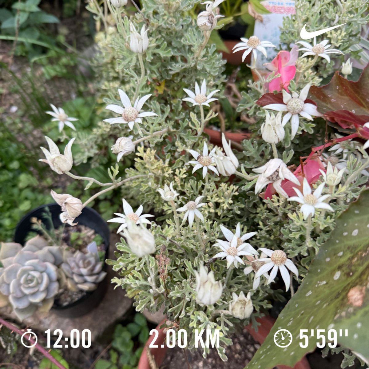 runrunrunning21's tweet photo. ランニング🏃　#860走目 https://t.co/pE2KUSrCOZ