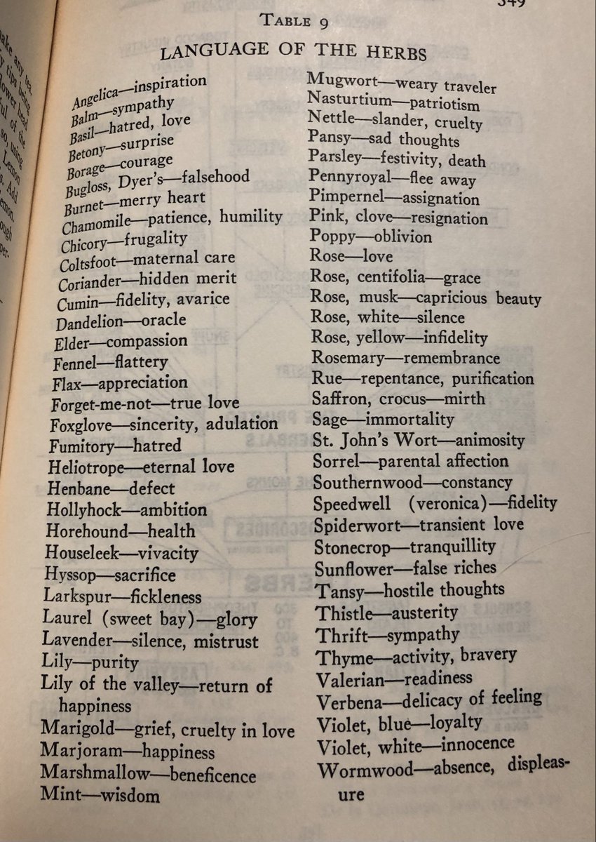 Zenouzel's tweet photo. Language of herbs 🌿 https://t.co/KiCywbDCUo