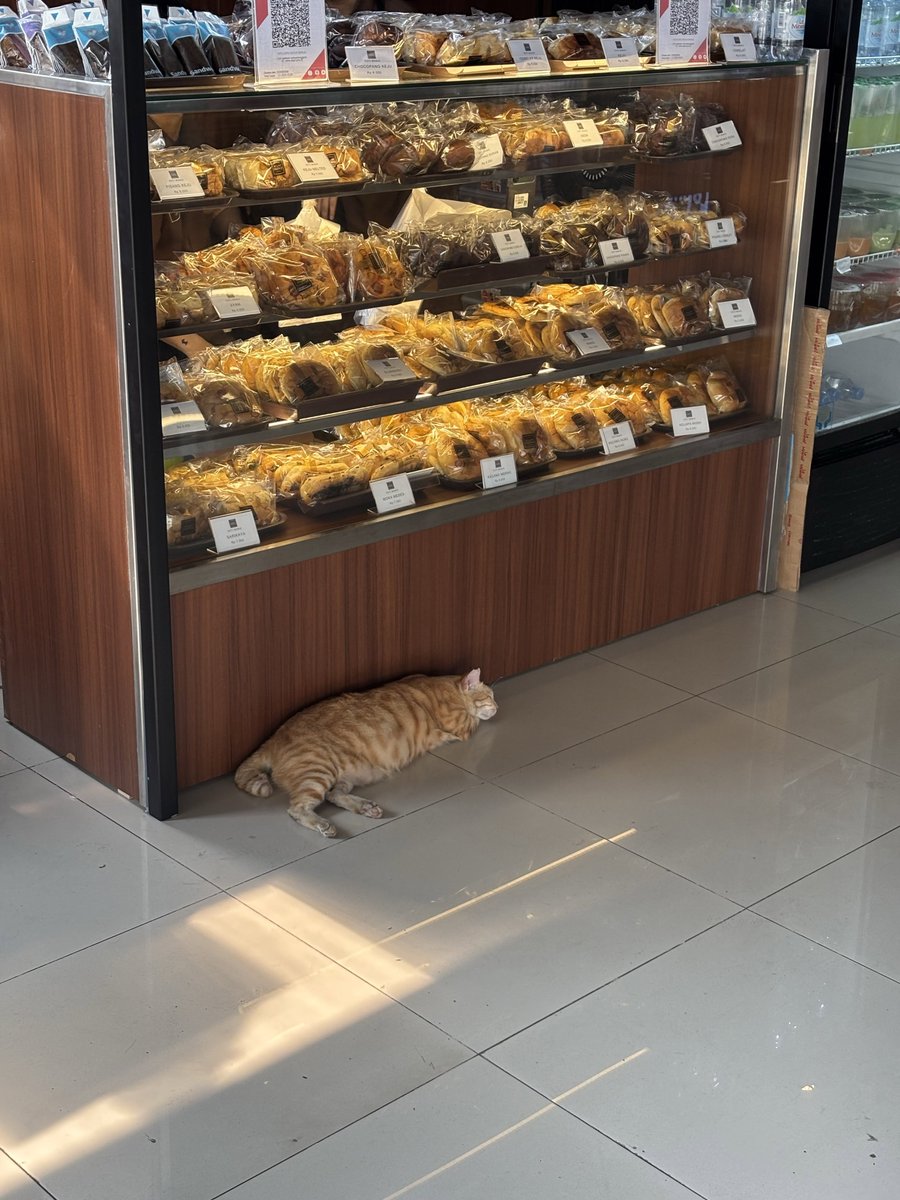 keluhkesahkonoh's tweet photo. Kejadian lagi di Stasiun Juanda! 😰

Ada roti yang kelihatan terlempar keluar dari raknya. Yang bikin heran, penjaga toko rotinya juga terlihat nggak peduli sama roti yang jatuh itu. https://t.co/bIWkbILC74
