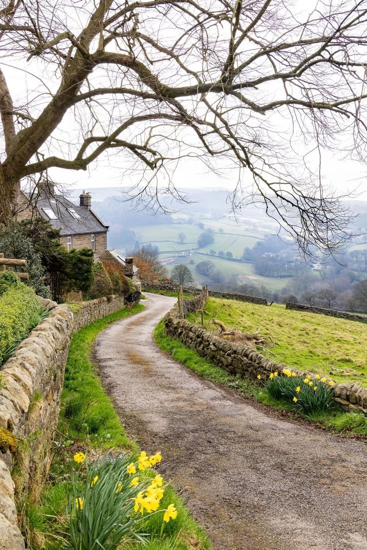 earthviewss1's tweet photo. British Countryside 🇬🇧 https://t.co/XxKBn4D3ab