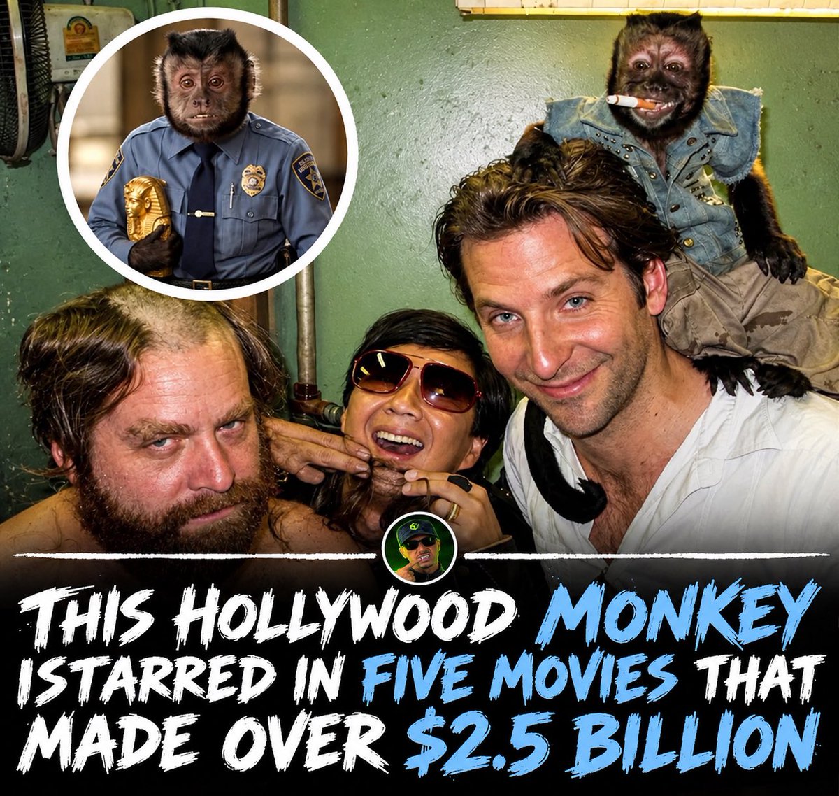 denbit7's tweet photo. Imagine a monkey having a better career than all of us combined. 😂 https://t.co/rV4XxcGI7T
