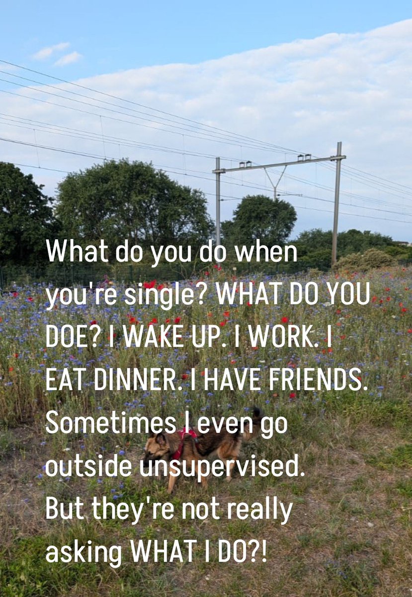 borneosscorpion's tweet photo. Good morning...goedemorgen...
WHAT DO YOU DO WHEN YOU'RE SINGLE? Here is my answers to you👇 Ja...dat is een vraag wat ik altijd hoor waneer ik mensen ontmoet op de bruiloften of verjaardagsfeestjes.
#mylife #iamblessed #happiness Have a great day and spread love❤️ https://t.co/BwT8KkfRO4