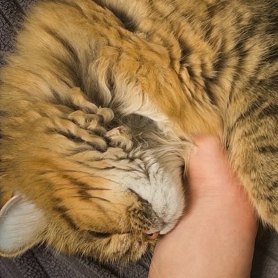 resolvedeath's tweet photo. #NouvellePhotoDeProfil https://t.co/UaRH2mEMEe