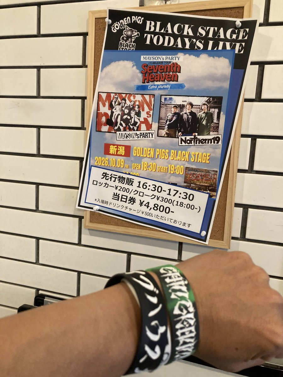 osarunojiichan's tweet photo. 今日はココ。 メイソンさんちのパーティーにゲインちゃん連れてきた。 #MaysonsParty #GAINGROUND #ゲイン連れてきた #goldenpig #金豚 #黒豚 https://t.co/G88pc4qjOV
