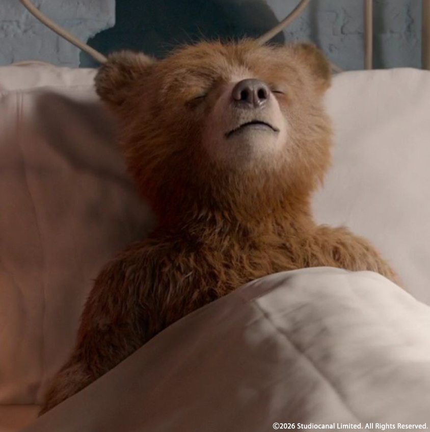 PaddingtonJapan tweet picture