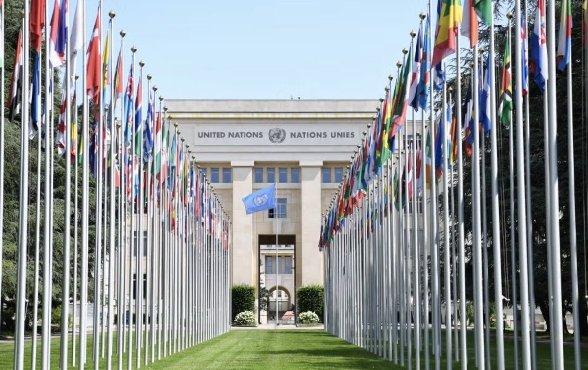 LaetitiaBader's tweet photo. With 35 other groups @hrw calls on @UN_HRC to urgently convene to discuss the mounting risks of atrocities in #Ethiopia https://t.co/diqKxSo5xP https://t.co/l4ftsuKnLZ