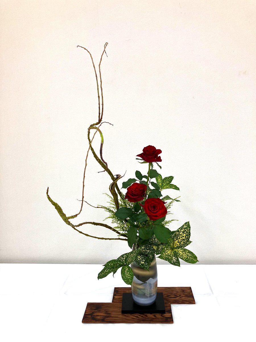 machiko_heidi's tweet photo. 市民文化祭の華道展の生け込みにいってきました。なかなか大変でした😅
・石化柳
・バラ
・ドラセナゴットセフィアーナ
・ソリダコ
#華道 https://t.co/fqPy0Mx1bo