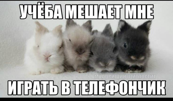kseashmm's tweet photo. https://t.co/zapYOaOW5o
