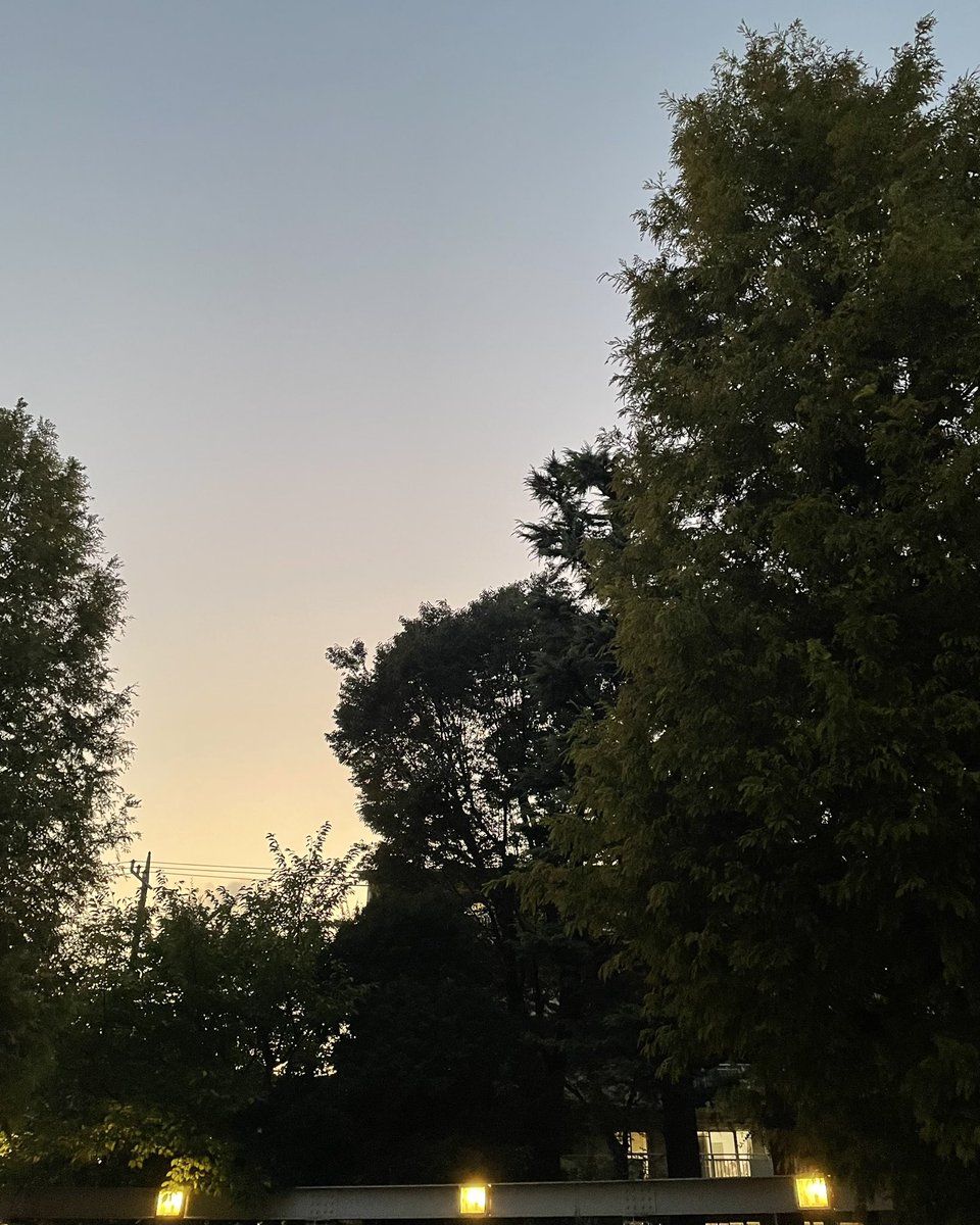 gorikapP tweet picture