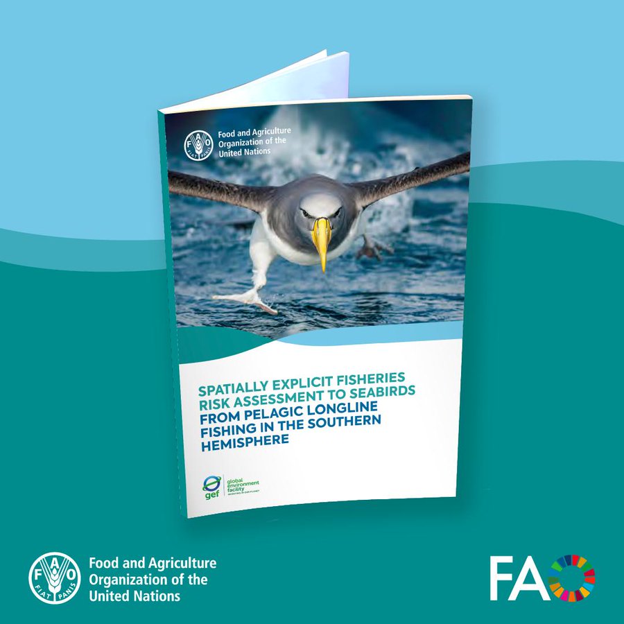 FAOKnowledge's tweet photo. At least 30 000 seabirds are estimated to be caught each year in the pelagic longline fisheries assessed across the Southern Hemisphere. 

A new study identifies key risk hotspots and where action is most needed. 

https://t.co/q8NVn0kKSi https://t.co/imai7UzZMp