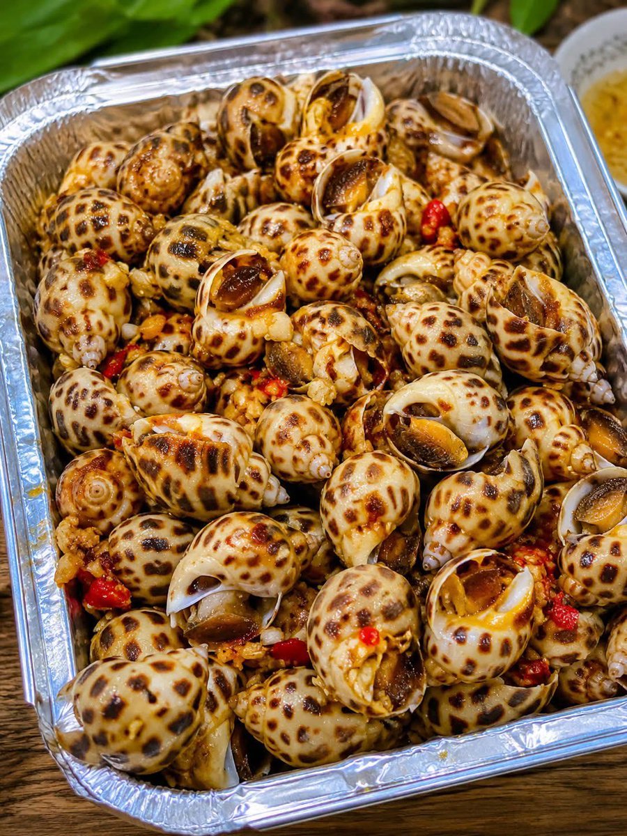 HanaTran86's tweet photo. Thứ 6 xế chiều, khay ốc hương hấp sả ớt bốc khói. 🤤

Vỏ đốm, thịt chắc, cay nhẹ, mút một cái là ngọt đọng. Ngồi vỉa hè, tăm gắp không ngừng, nước chấm còn hơn nửa tô. 

Hết thèm, hết đói, tuần coi như xong.
#OcHuong #Thu6 https://t.co/wt5HvzWdL2
