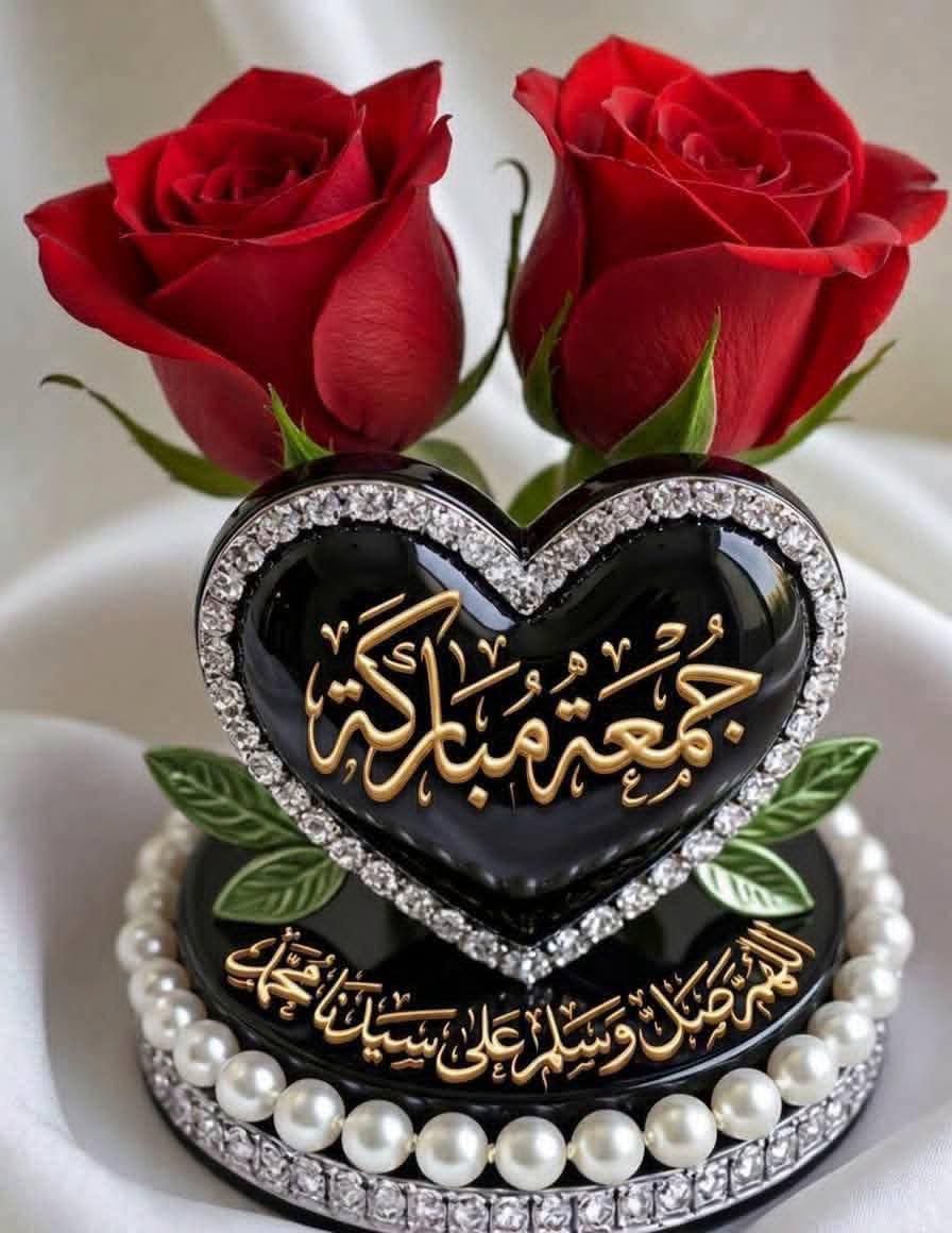 SeedShaheen's tweet photo. @HobaGaber435569 https://t.co/L3ifyuiqeU