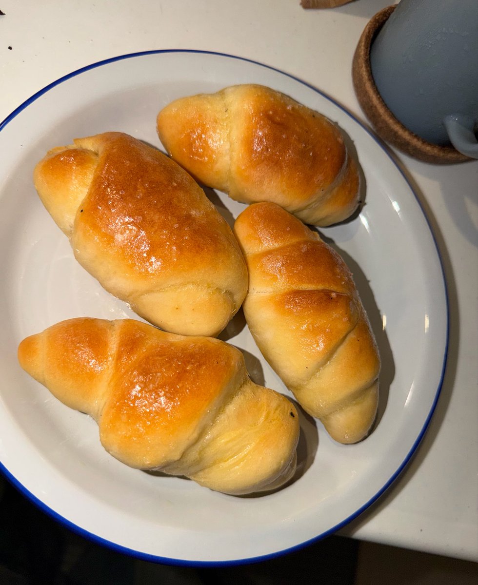 sui0sushi's tweet photo. 最近のパン🥐
発酵機能ついてるオーブンが欲しいです https://t.co/cva1nAn49E
