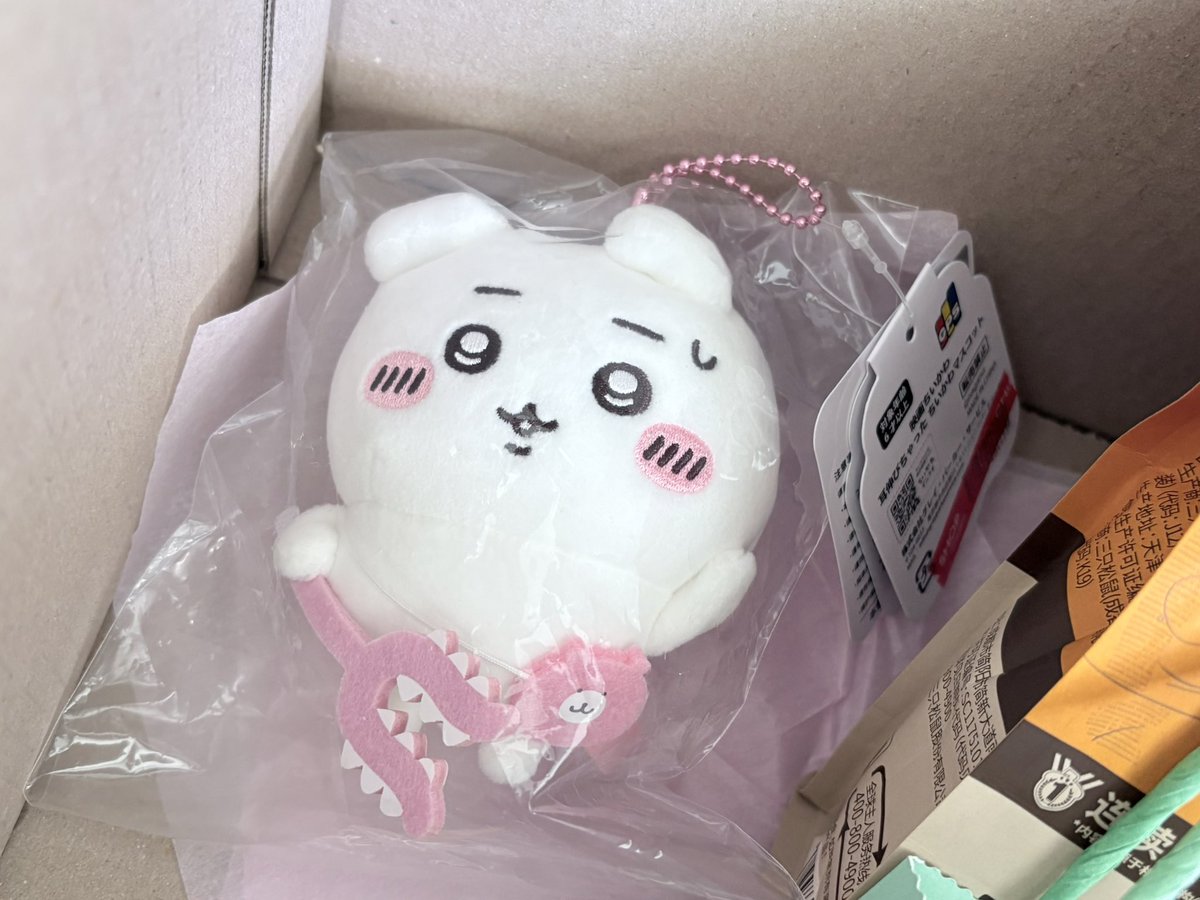 mntkuma's tweet photo. 귀늘치이 🧑‍🩰💕🎶 https://t.co/CDmuxDJ0hz